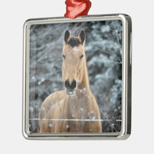 Wildleder-Pferdewinter Silbernes Ornament (Links)