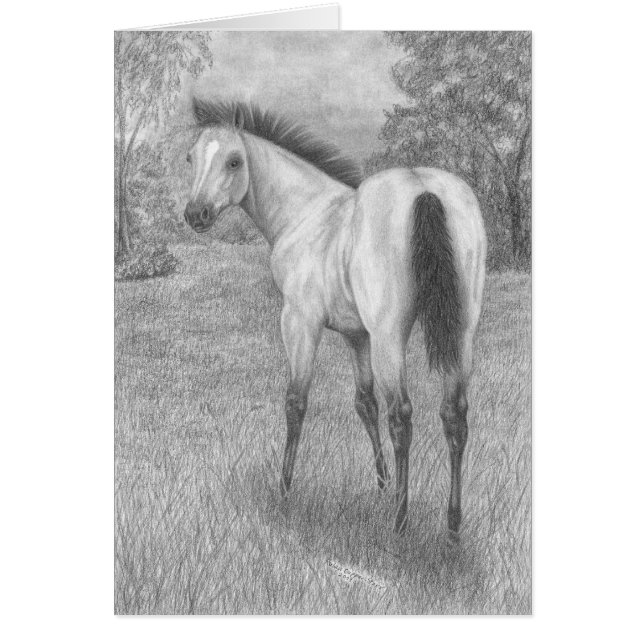 Wildleder-Stutenfohlen (Vorne)