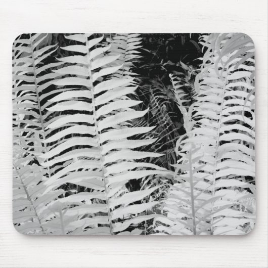 Wildlederfarn, Florida, USA Mousepad (Vorne)