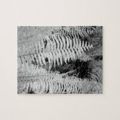 Wildlederfarn, Florida, USA Puzzle (Horizontal)