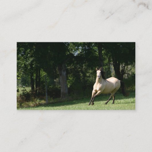 WildlederpferdeVisitenkarte 2 Visitenkarte (Vorderseite)