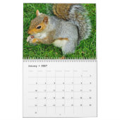 Wildlife 2026 calendar kalender (Jan 2027)