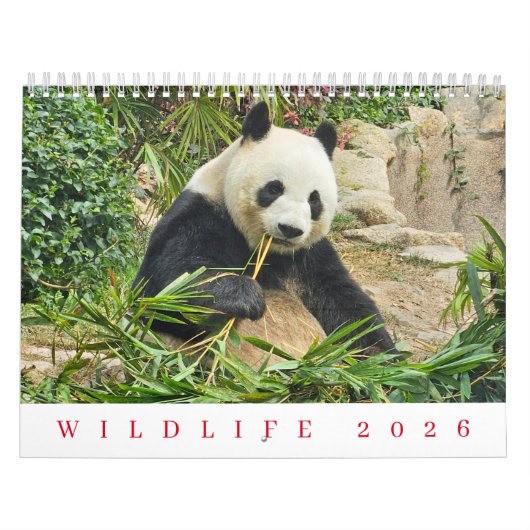 Wildlife 2026 calendar kalender (Titelbild)