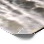 Wildlife 6 Wal Schwanz Poster (Ecke)