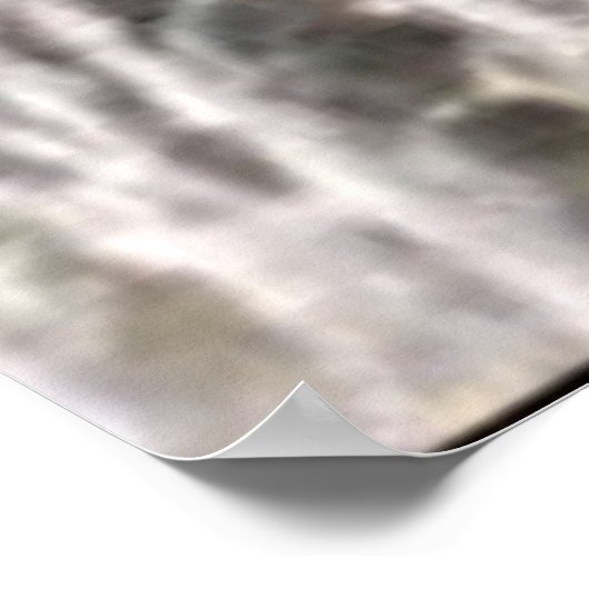 Wildlife 6 Wal Schwanz Poster (Ecke)