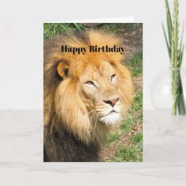 Wildlife African Lion Face Foto Birthday Karte