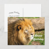 Wildlife African Lion Foto Birthday Postkarte (Vorne/Hinten)