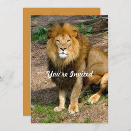 Wildlife African Lion Sitting Foto Geburtstag Einladung
