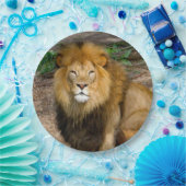 Wildlife African Lion Sitting Foto Pappteller (Party)