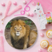 Wildlife African Lion Sitting Foto Pappteller (Party)