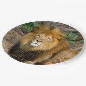 Wildlife African Lion Sitting Foto Pappteller (Schrägansicht)