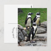 Wildlife African Penguin Foto Geburtstag Postkarte (Vorne/Hinten)