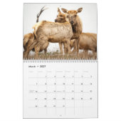Wildlife and Landscape Calendar Kalender (Mär 2027)