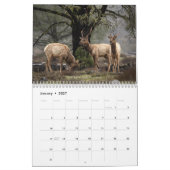 Wildlife and Landscape Calendar Kalender (Jan 2027)