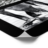 Wildlife Animals Poster (Ecke)
