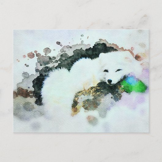 *~* Wildlife AP18 Snow White Arctic Polar Fox Post Postkarte (Vorderseite)