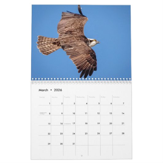 Wildlife at Fort De Soto Park 2026 Kalender (Mär 2026)