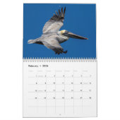 Wildlife at Fort De Soto Park 2026 Kalender (Feb 2026)