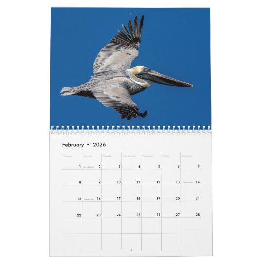 Wildlife at Fort De Soto Park 2026 Kalender (Feb 2026)