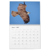 Wildlife at Fort De Soto Park 2026 Kalender (Mär 2027)