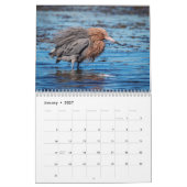 Wildlife at Fort De Soto Park 2026 Kalender (Jan 2027)