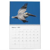 Wildlife at Fort De Soto Park 2026 Kalender (Feb 2027)