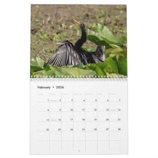 Wildlife at John Chestnut Sr. Park 2026 Kalender (Feb 2026)