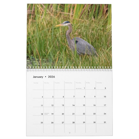 Wildlife at John Chestnut Sr. Park 2026 Kalender (Jan 2026)