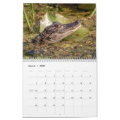 Wildlife at John Chestnut Sr. Park 2026 Kalender (Mär 2027)