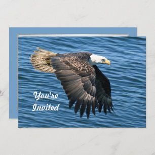 Wildlife Bald Eagle Foto Geburtstag Einladung