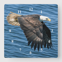 Wildlife Bald Eagle Foto Quadratische Wanduhr