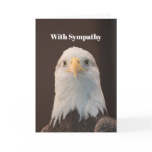 Wildlife Bald Eagle Portrait Foto Beileid