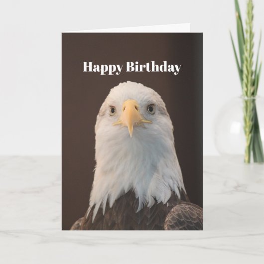 Wildlife Bald Eagle Portrait Foto Geburtstag Karte (Vorderseite)