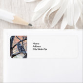 Wildlife Barred Owl Tree Foto (Insitu)