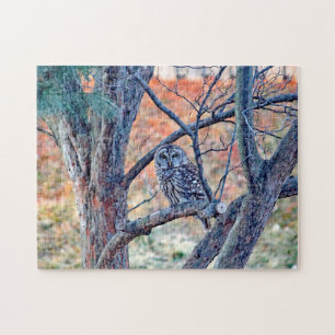 Wildlife Barred Owl Tree Foto Puzzle