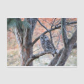 Wildlife Barred Owl Tree Foto Seidenpapier (Vorderseite)