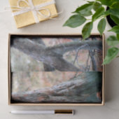 Wildlife Barred Owl Tree Foto Seidenpapier (Geschenk)