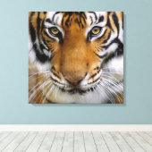 Wildlife Beautiful Tiger Piercing Brown Eyes Leinwanddruck (Insitu (Holzboden))