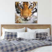 Wildlife Beautiful Tiger Piercing Brown Eyes Leinwanddruck (Insitu (Schlafzimmer))