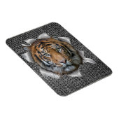 Wildlife Bengalisch Tiger Magnet (Rechte Seite)