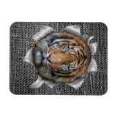 Wildlife Bengalisch Tiger Magnet (Horizontal)
