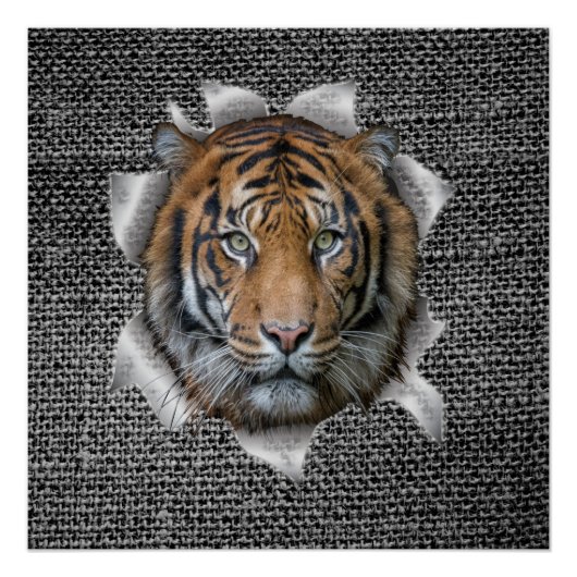 Wildlife Bengalisch Tiger verkleidet Witz Poster (Vorderseite)