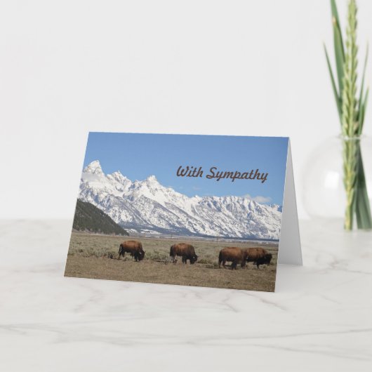 Wildlife Bison Mountains Schnee Foto Beileid Karte (Vorderseite)
