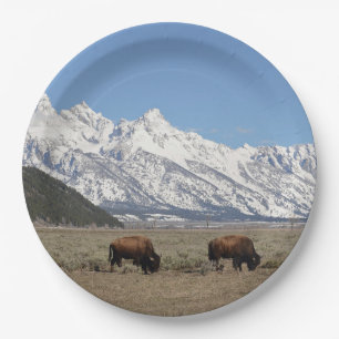 Wildlife Bison Mountains Schnee Foto Pappteller