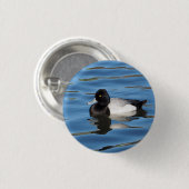 Wildlife Black and White Duck Scaup Foto Button (Vorne & Hinten)