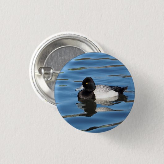 Wildlife Black and White Duck Scaup Foto Button (Vorne & Hinten)