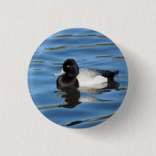 Wildlife Black and White Duck Scaup Foto Button