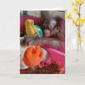 Wildlife Blank Cards:Baby Orangutan Grabs Toys Karte (Gelbe Blume)