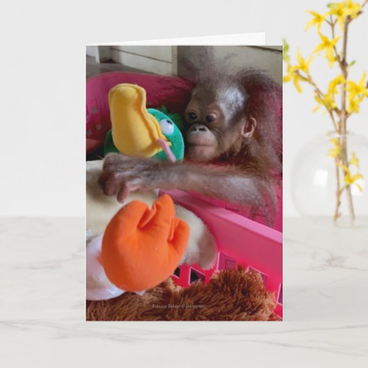 Wildlife Blank Cards:Baby Orangutan Grabs Toys Karte (Gelbe Blume)