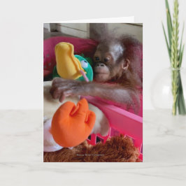 Wildlife Blank Cards:Baby Orangutan Grabs Toys  Karte